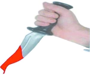 SP leader's son murdered, panic in Arnia.